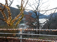 20141227_171627