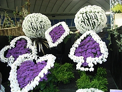 RIMG0107