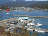 BlogPaint