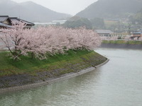 DSCF1106