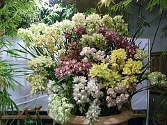 RIMG0672