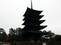 20141125_111118