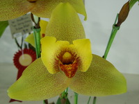 DSCN4697