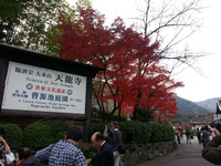20141128_133755
