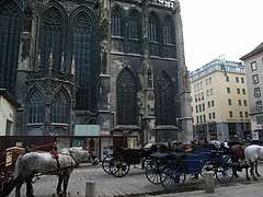 RIMG0054
