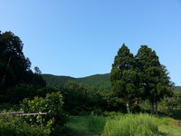 20150801_073504