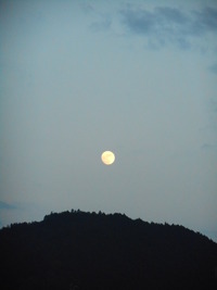 DSCN2037
