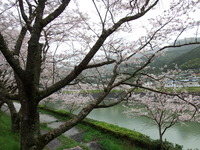 DSCF0920