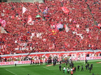 DSCF1559
