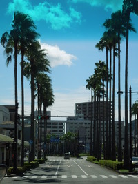 DSCN8684