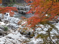 20141121_150855