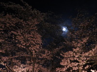 DSCF0874