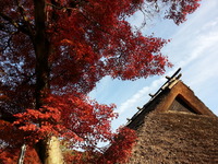 20141121_152542