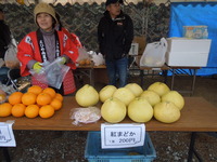 DSCN9879
