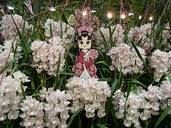 RIMG0659