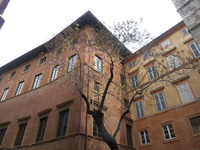 DSCN1207