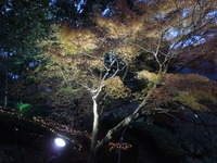DSCN1169