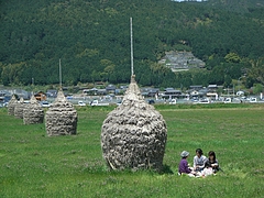 RIMG0256