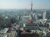 DSCN0243