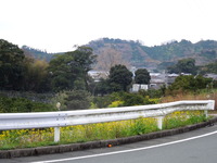 DSCN0047