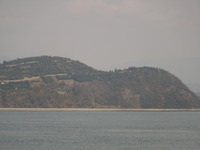 DSCN5978