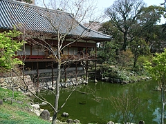 RIMG0248