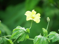 DSCF3270