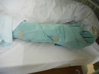 DSCN3672