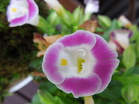 DSCN9472