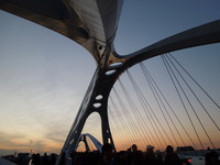 DSCN4952