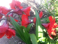 20150530_075234