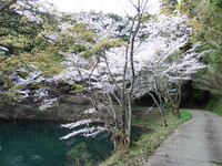 DSCF1362