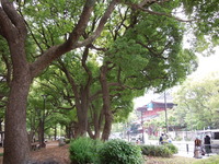 DSCN0483