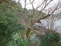 DSCN2107