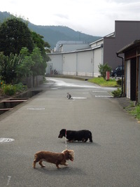 DSCN8647