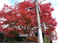 20141128_125803