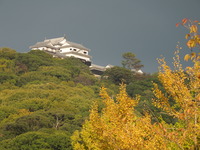 DSCN1302