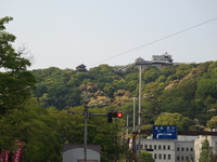 IMG_3874