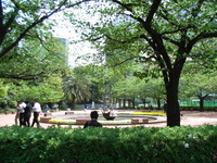 RIMG0065