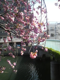 2011042514340000