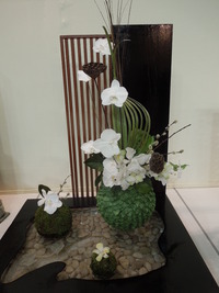 DSCN9977