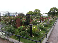 20160517_170624