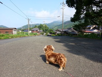 20160626_075127