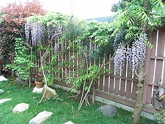 RIMG0032