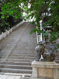 DSCN0551