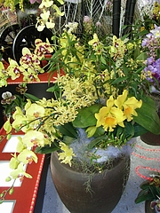 RIMG0049