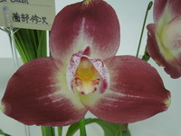 DSCN4691