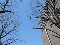 DSCN6628