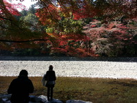 20141122_120100