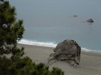 DSCN4413